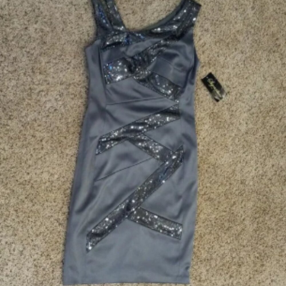 SANGRIA New Metallic gray Signature by Sangria Dress, size 10